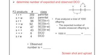 Biol 360 Tutorial 3pt cross Interfence KEY