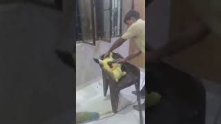 wtc company #viral #trending #cartoon #agra #viralvideo #mathura #vrindavan #cleaning #service