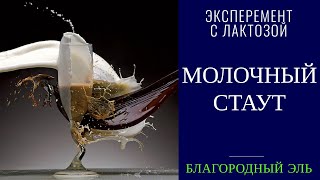 Как сварить пиво молочный стаут в домашних условиях. Карбонизация лактозой. Рецепт молочного стаута.