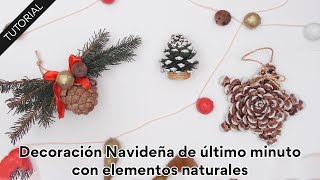 Decoraciones de Navidad con Elementos Naturales 🎄 Ideas de último minuto ⏱️