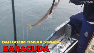 BAH GOZIM STRIKE BARACUDA + TENGGIRI