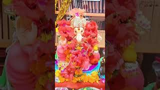 Kapur gorram krunaataram🌺🙏🌺🙏🌺#ganesh#ganpati#ganpatibappamorya#ganeshvisarjan#youtubeshorts#shorts