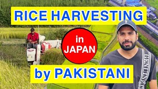 Harvesting of Rice in Japan/#Pakistani in Japan#Urdu/#Hindi