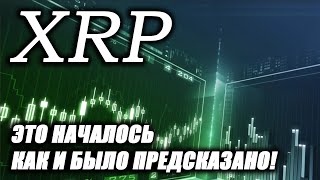 Ripple XRP: КРОВОПРОЛИТИЕ Началось! (Точно Так, Как И БЫЛО ПРЕДСКАЗАНО!)