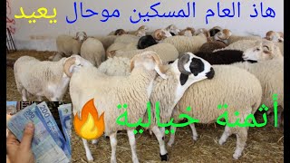 شاهد أثمنة الخروف🐏 في المغرب هذا العام مرتفعة جداً 2022/6/14 لمسكين موحال يعيد😔