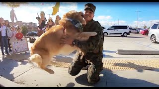 Dogs Meet Their Owner After A Long Time - PART 2 🐶💕 [Funny Pets]