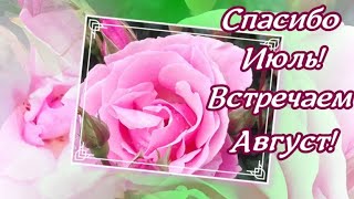 СПАСИБО ИЮЛЬ! ВСТРЕЧАЕМ АВГУСТ!