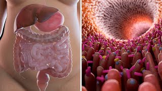 The Best Digestive Enzymes to Build a Stronger Gut | Natural Cures