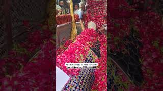 Mira datar dargah Urs stetus|whatsapp qawwali status|2024new qawwali|Famous qawwali|mira data