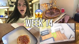 Food Shop, Sims & My SD Card Broke | WEEK 14