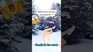 Over Extended Needle In The Snow | Viral Tiktok by Anna Mcnulty #shorts