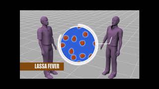 LASSA FEVER Virus : Definition, Causes, Symtoms and Prevention