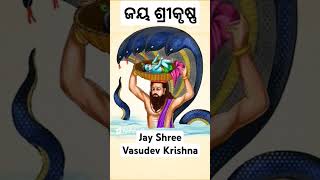 Jara sar ko jhukao Basudev ji viral song Jay Shree Krishna 🙏👏🥰🥰Jay Jagannath💕💞💞🥰😍👏👏❤‍🔥❤‍🔥Bhajan