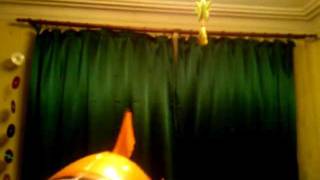 VID 20120106 175424