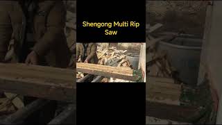 Shengong Multi Rip Saw#woodworking #sawan #sawmill #machine #woodwork #sawmill #rip