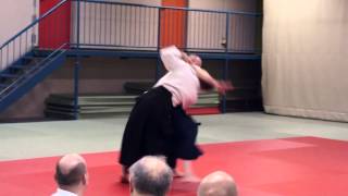 Aikido: Stephane GOFFIN and Laetitia DUBASIN 9th Seminar in Vienna (HD)