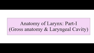 Anatomy of Larynx (Part I)