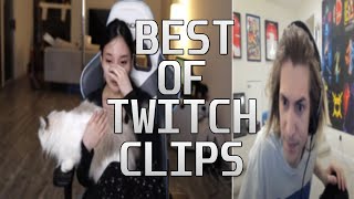 Best of Twitch Clips #1