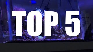 Top 5 Tips For Starting Your First Nano Reef Tank