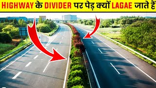 Highway के Divider पर Pehd क्यों Lagae जाते Hai 😨 | Trees on divider FE#3