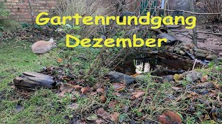 Gartenrundgang Dezember / Topinambur ernten