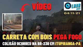 ((VÍDEO)) Carreta com BOIS vivos pega FOGO na Transamazônica BR-230, em Itupiranga-PA: 04/11/21