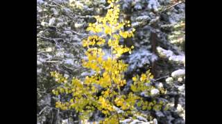 Mountain Morning Snow