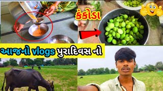 આજે આખો દિવસ નો😂 vlogs એક સાથે Aakash Vlogs  દેશી ગુજરાતી vlogs Lifestyle vlog😊