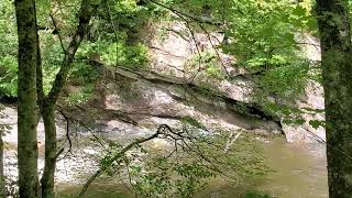 Gorge Road Diving Spot