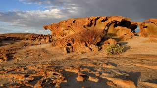 Wüstenquell - Namibia - Dezember 2016