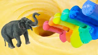 Relaxing Whirlpool Video With Everything And Giant Elephant Toothpaste #89