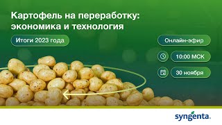 Картофель на переработку: экономика и технология