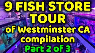 VISITING 9 FISH STORES IN WESTMINSTER CA TOUR COMPLIATION: PART 2 OF 3