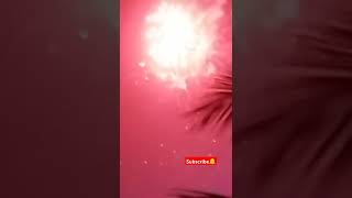 Sparkles#crackers #celebration #busting #fireworks #busting #diwali #sparkle #trending #fun #shorts