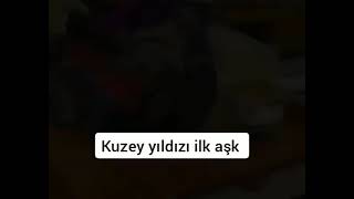 kuzey yıldızı ilk aşk edit