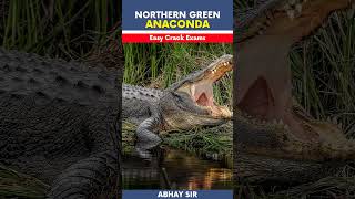 🐍🐍 Northern Green Anaconda 🐍 🐍#anaconda #amazingfacts #abhaysir #abhaypratap #trending