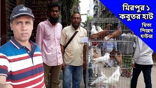 মিরপুর ১ কবুতর হাট | Mirpur-1 pigeon market | কম দামে মিরপুর কবুতর হাট | মিতা পিজন হাউজ Update price