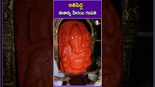 అతిపెద్ద ఈశాన్య హేరంబ గణపతి #ganesh #devotional #vira #shorts #ytshorts #sumantvjagtial