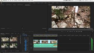 05. Как проиграть видео наоборот реверс в Premiere Pro