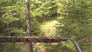 Deer Hunting Preparation: July 2013