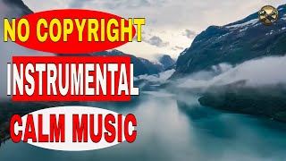 Calm instrumental music no copyright music - calm piano music 10 minutes (no copyright)