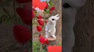 Cute rabbit eating strawberry with cute duckling #subscribe #youtube #shorts #cute #funny #viral