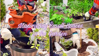 Backyard Gardening: How I Grow Vegetables in Small Spaces 👩‍🌾🪴🍅🥒