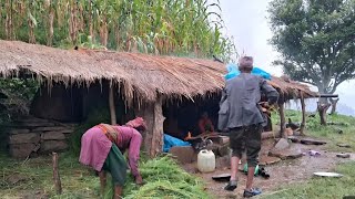 Most Relaxing Nepali Mountain Village Life | Rainy Day | Daily Activities  Of Rural Village People |