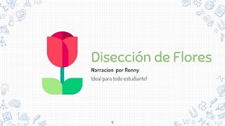 Disección de Flores - STEM10+