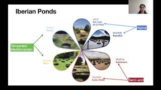 Size-abundance scaling across biogeographical gradients in aquatic food webs