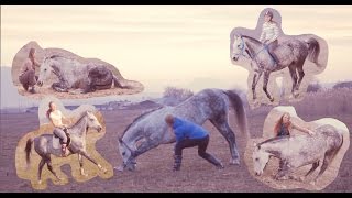 Two years with Natural Horsemanship | Два года занятий мягкими методиками!