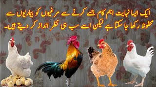 Why Bio Security Is Important For Commercial Poultry Farming | Dr Javed Iqbal