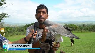 Vamos conhecer um pouco mais do Parque dos Falcões?