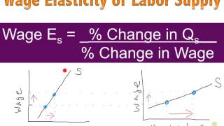 Wage Elasticity of Labor Supply & Interest Rate Elasticity of Savings